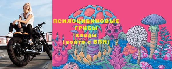 бошки Кулебаки