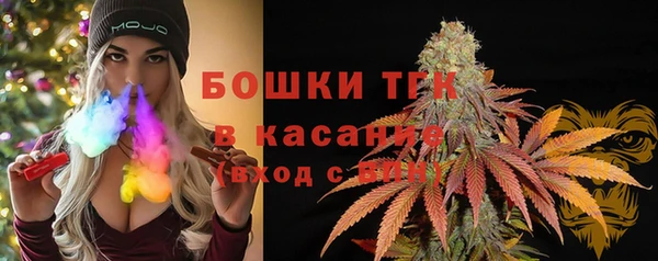 гидра Ладушкин