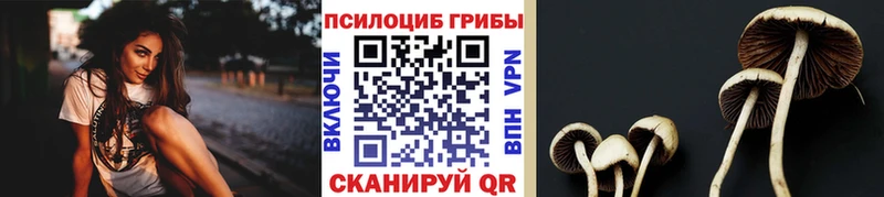 Галлюциногенные грибы GOLDEN TEACHER  Купить где  Первомайск 